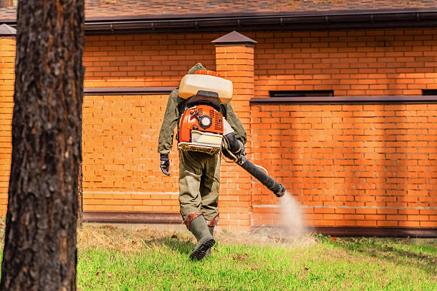 Bed Bug Clearance Verification and Documentation in Overlea